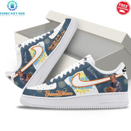 Brian Wilson 2025 Special Air Force 1